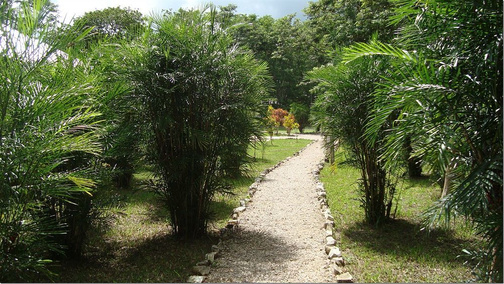 Maya Zac Peten Jungle Lodge إل ريماتي المظهر الخارجي الصورة