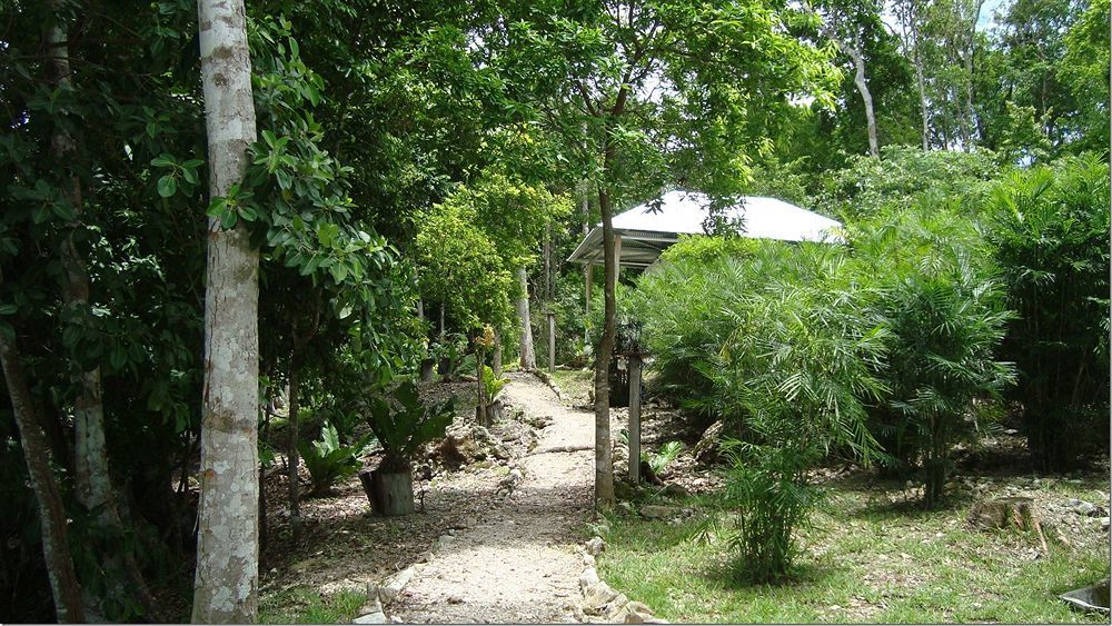 Maya Zac Peten Jungle Lodge إل ريماتي المظهر الخارجي الصورة